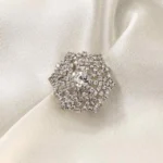 Sparkling Silver Brooch - Image 6