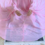 Namaz Chadar With Sleeves - Blush Pink - Image 4
