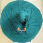 Namaz Chadar With Sleeves - Serene Green - Image 3